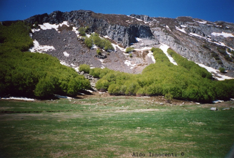 SORGENTI DEL SECCHIA
